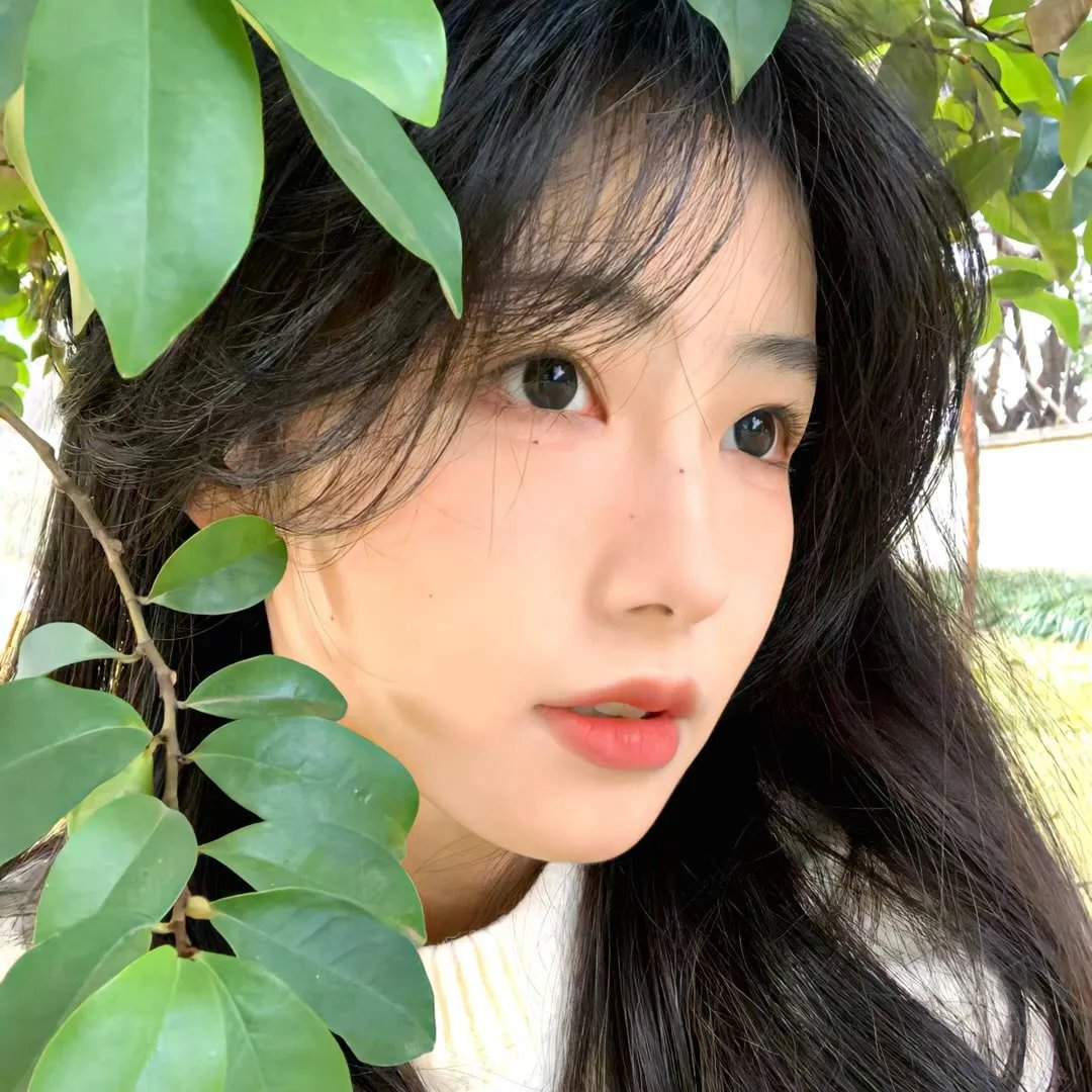 布鲁克林来的人
